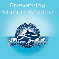 "The Marine Wildlife Foundation" Dean Bernal & JoJo