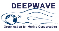 www.DeepWave.org