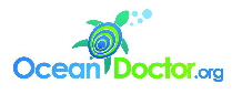 www.OceanDoctor.org  -  Dr. David E. Guggenheim Ph.D. - "Ocean Doctor" 