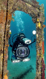 Anthony Lenzo - AIR SEA LAND Productions, Inc. - Shark Week Pictures 